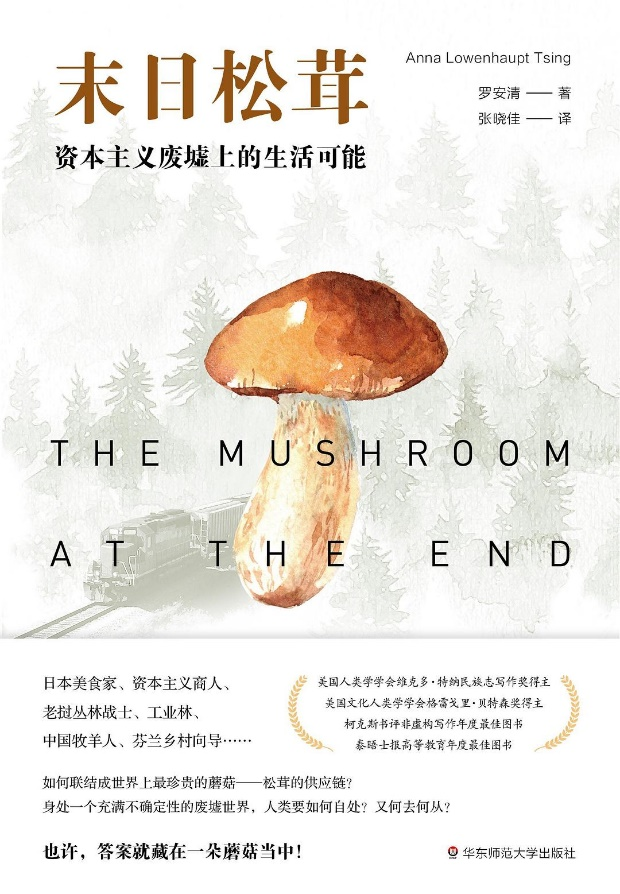 用游戏讲述松茸的科幻人类学《深空梦里人》手账测评#490