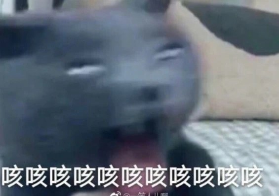 GGJ 2024 沈阳站回顾：我们又来了，这回没漏雨 3%title%